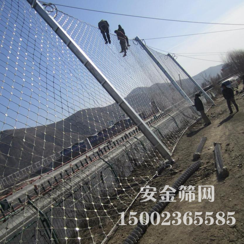 �������·����� 