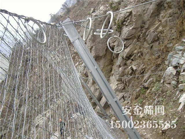 �������·����� 