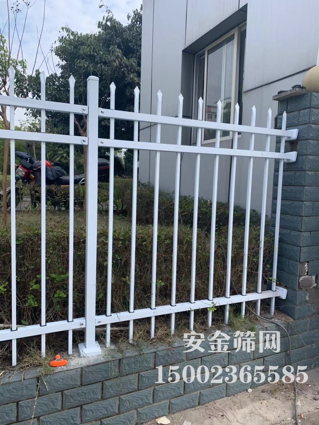 ��ƺΧǽ����