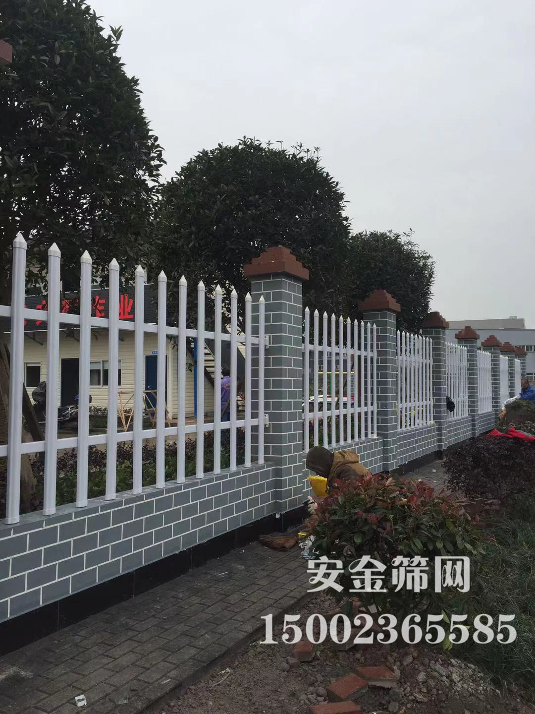 ��ƺΧǽ����