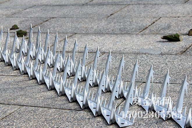 Χǽ�ܵ���������