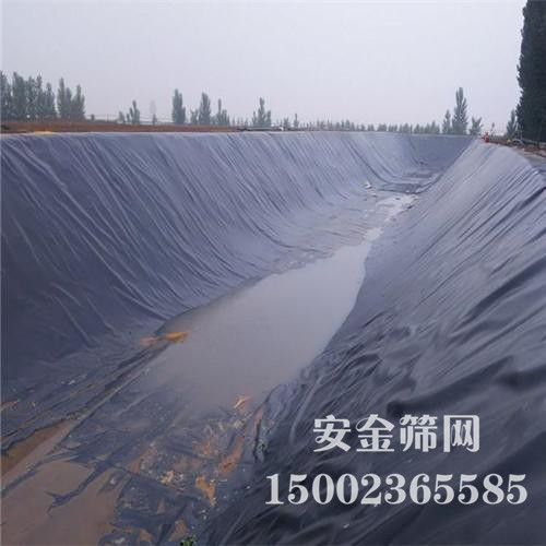 ��������Ĥ