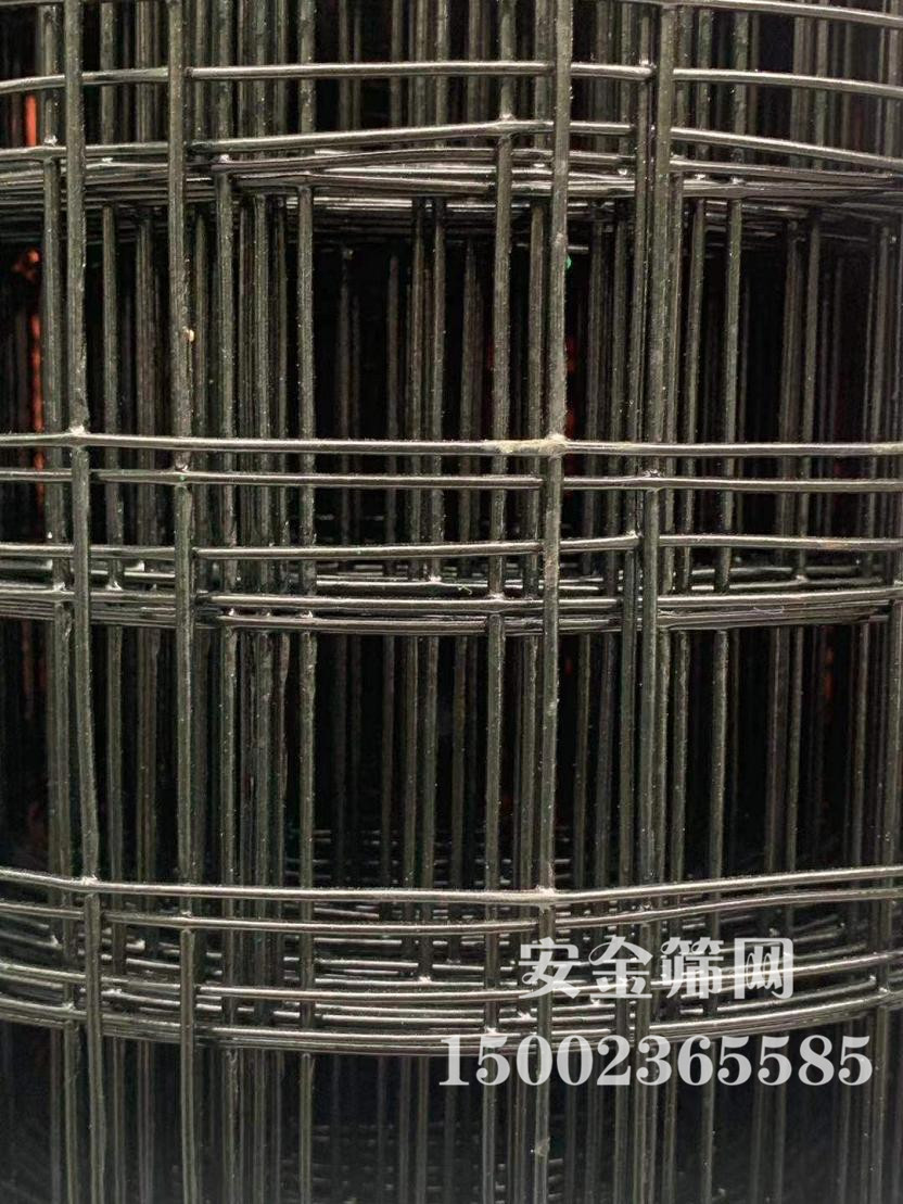 ī��ɫӲ�ܺ�����